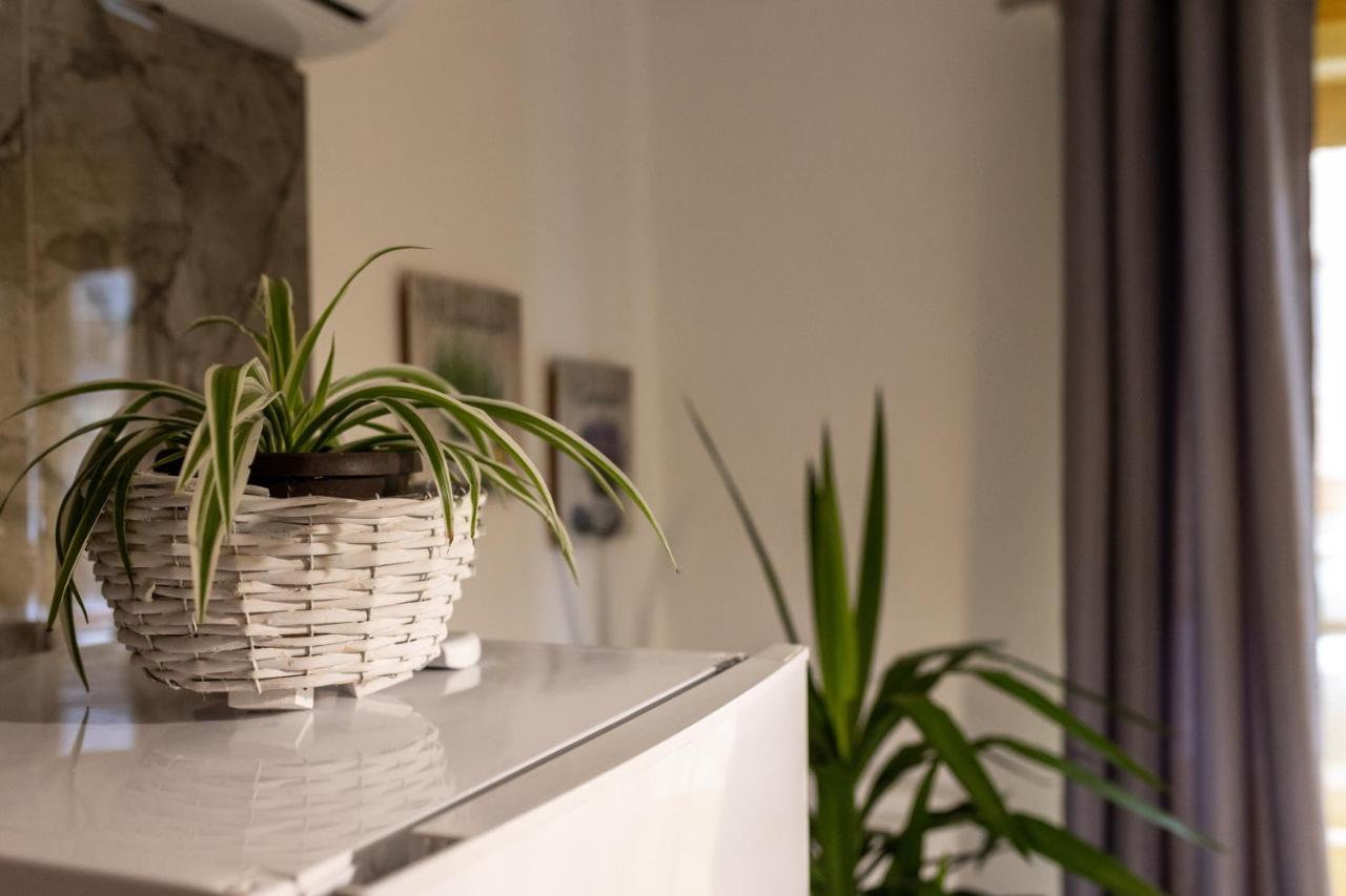 Studio Apartman Planb, Self Check In Osijek Extérieur photo